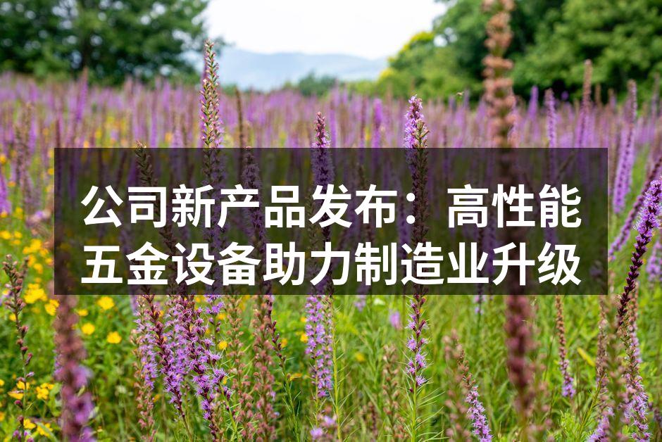 新产品发布会现场